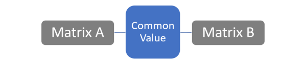 General Matrix Reporting Relationship Example